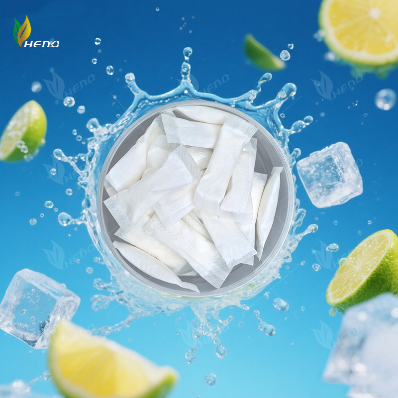 profissionais Sachês de nicotina de 6 mg OEM fabricantes