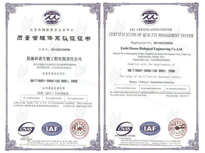 calorosamente felicitar nossa empresa obteve a certificação ISO9001 sistema de gestão da qualidade