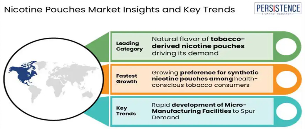 Análise de tendências e participação de mercado de sachês de nicotina